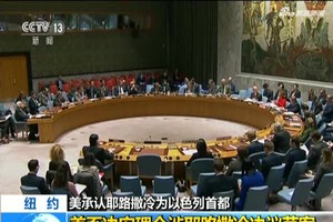 （資料圖源：CCTV視頻截圖）