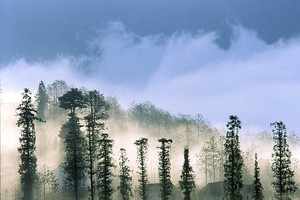 （示意圖源：互聯網）