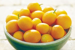 （示意圖源：互聯網）