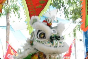 弘德龍獅團演出一瞥。