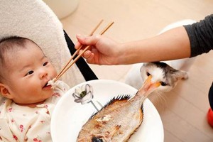 兒童多吃魚 助睡眠提智商。（示意圖源：互聯網）