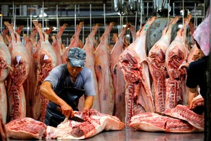 南部東區生豬價格上漲，每公斤比前3天上升約2000至3000元，環比上升7000至9000元。（示意圖源：玉陽）