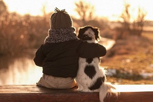 （示意圖源：互聯網）