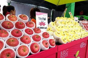 日本蘋果也獲引進越南且種類豐富。（圖源：互聯網）