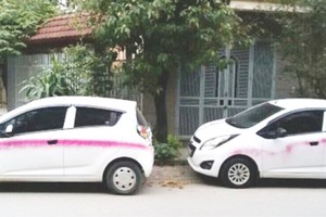 在路邊及人行道停泊的許多車輛被噴污穢油漆。（圖源：互聯網）