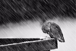 （示意圖源：互聯網）