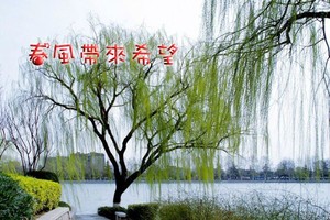 （示意圖源：互聯網）