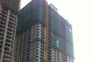 若項目開發商違反有關投資建設、規劃、建築等法律規定，將被權力機關回收項目。