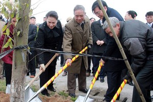 國會主席阮氏金銀和海陽省幹部、人民一同參加植樹活動。（圖源：VOV）