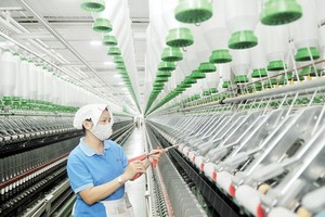 紡織品成衣是本市經濟定向發展的傳統領域之一。