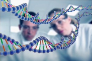 研究人員對DNA測序數據的需求永遠難以滿足。 （圖源：SPL）