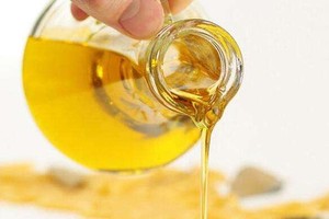 好油做出健康新年佳餚。（示意圖源：互聯網）