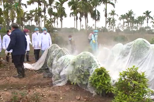 獸醫幹部在禽流感疫區進行消毒。（圖源：VOV）