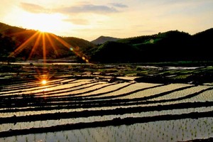 鄉村春日裏溫馨的陽光。（示意圖源：互聯網）