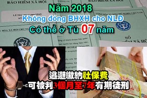 逃避繳納社保費可被判刑？（示意圖源：互聯網）