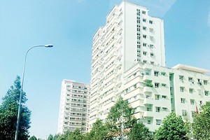 在第二郡的一個社會住房項目。