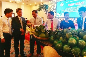 檳椥省領導介紹綠皮柚特產。（圖源：銜倫）