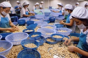 農產品是我國出口美國市場的支柱產品之一。