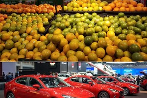 我國從東盟進口多種果蔬和汽車。（示意圖源：互聯網）