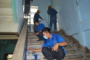 志願者在第九坊安陽王公寓進行打掃、新漆公寓的走廊。