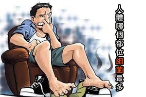 人體哪個部位細菌最多？（示意圖源：互聯網）