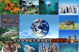 全球各地區生物多樣性持續惡化。（示意圖源：互聯網）