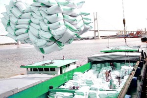 今年初數月大米平均出口價格每噸達475美元，大米出口價格獲良好改善，為各企業營造巨大的動力。（示意圖源：互聯網）