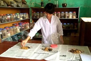 草藥或草藥製劑也應要按照醫師就劑量和用法的具體指引來服用。