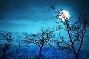 （示意圖源：互聯網）