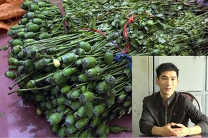 被查獲的嫌犯費孟義(小圖)與共達23公斤的新鮮鴉片物證。（圖源：清俊）