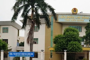堅江省勞動聯團主席陳氏愛仁受譴責處分。圖為堅江省勞動聯團辦公室一瞥。（示意圖源：互聯網）