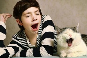 為什麼打哈欠會傳染。（示意圖源：互聯網）