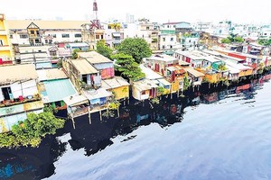 第八郡現是本市最多河涌與在涌上建設住房的郡。