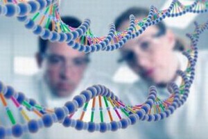 遺傳給男性疾病多。（示意圖源：互聯網）