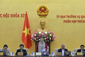 國會主席阮氏金銀在國會常務委員會第23次會議上致開幕詞。（圖源：Quochoi.vn）