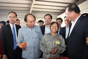 政府總理阮春福參觀農業生產模式。（圖源:Zing）