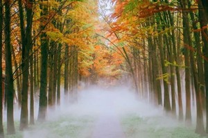 （示意圖源：互聯網）