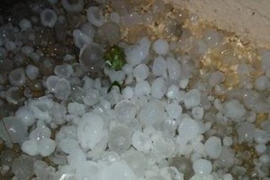 昨日凌晨零時至5時，芒康縣大部分鄉鎮均出現輕輕的冰雹，每個地方從5至15分鐘的降冰雹。（圖源：越通社）