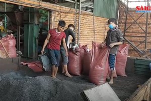 該違規生產咖啡粉單位的加工流程現場一瞥。（圖源：視頻截圖）