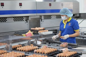 各企業積極準備與國際深化接軌。