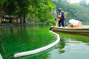 河內市排水公司代表稱，還劍湖目前的綠藻現象絕不是藻類開花狀態。（圖源：黃峰）