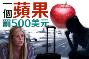 塔德洛克指，沒想過會因為一個蘋果而被當罪犯。（圖源：互聯網）