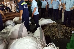 桔萊港海關分局檢查並發現 7.3 噸疑是穿山甲鱗片。（圖源：丹元）