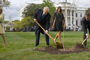 美法總統在白宮南草坪上親手共植橡樹。（圖源：AFP）
