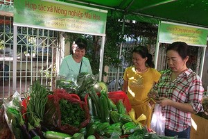 消費者在第六郡無公害農產品集市選購蔬菜。（圖源：VOH）