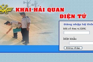 增加多類電子申報海關商品。（示意圖源：互聯網）