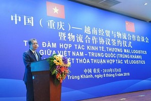 鄧明瑰大使在座談會上發表講話。（圖源：VOV）