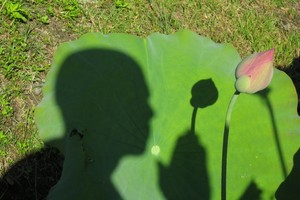 （示意圖源：互聯網）