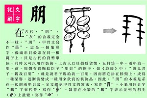 說文解字 『朋』