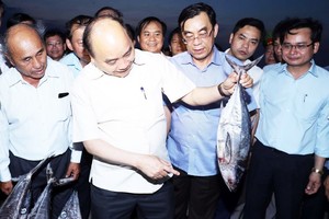 阮春福總理視察廣治省“越門”漁港。（圖源：統一）